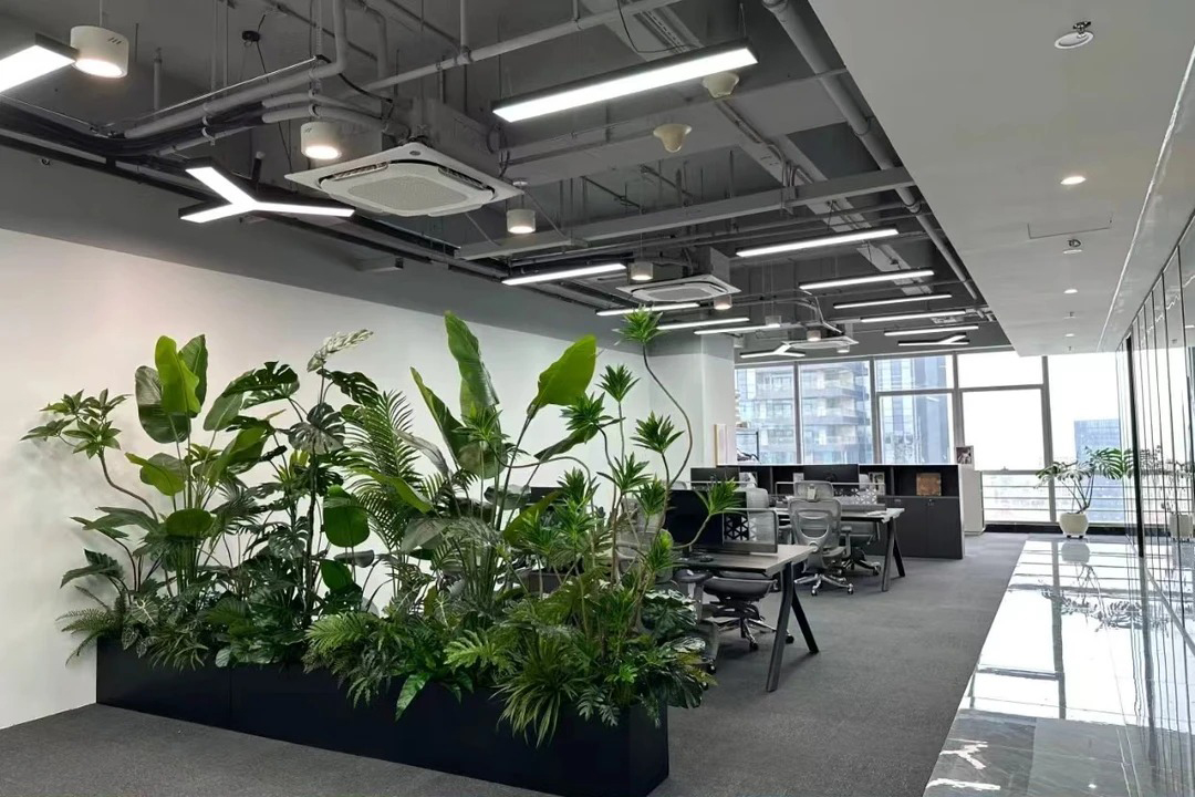 植物