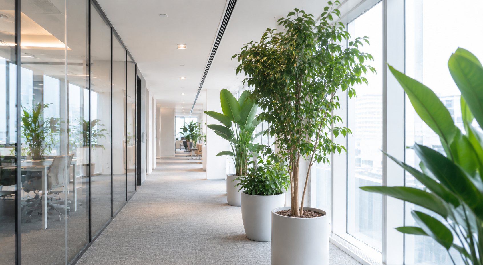 为什么物业不允许公司自己买大型植物？消防隐患解析