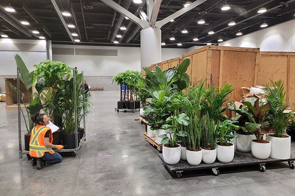 办公室绿植租摆方案大全（不同面积/行业完整配置）
