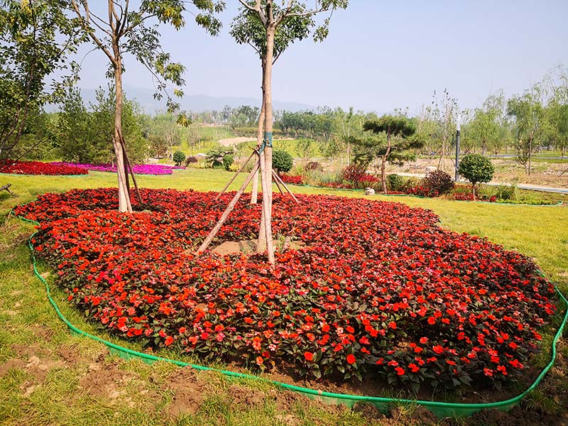 太原植物园绿化养护