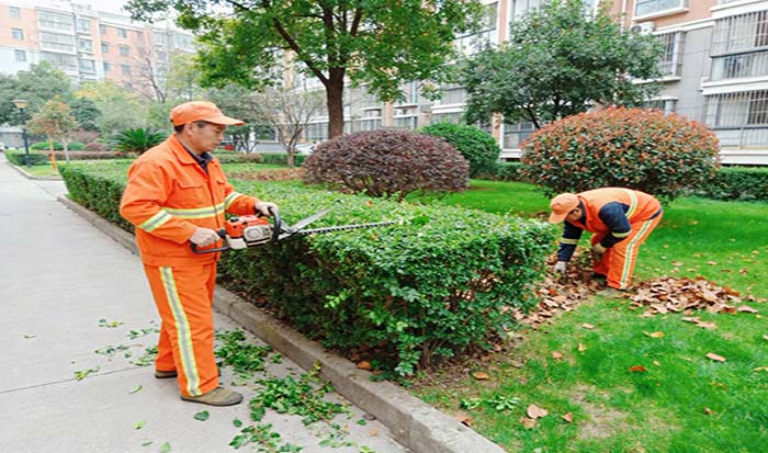 兰亭御湖城绿化养护