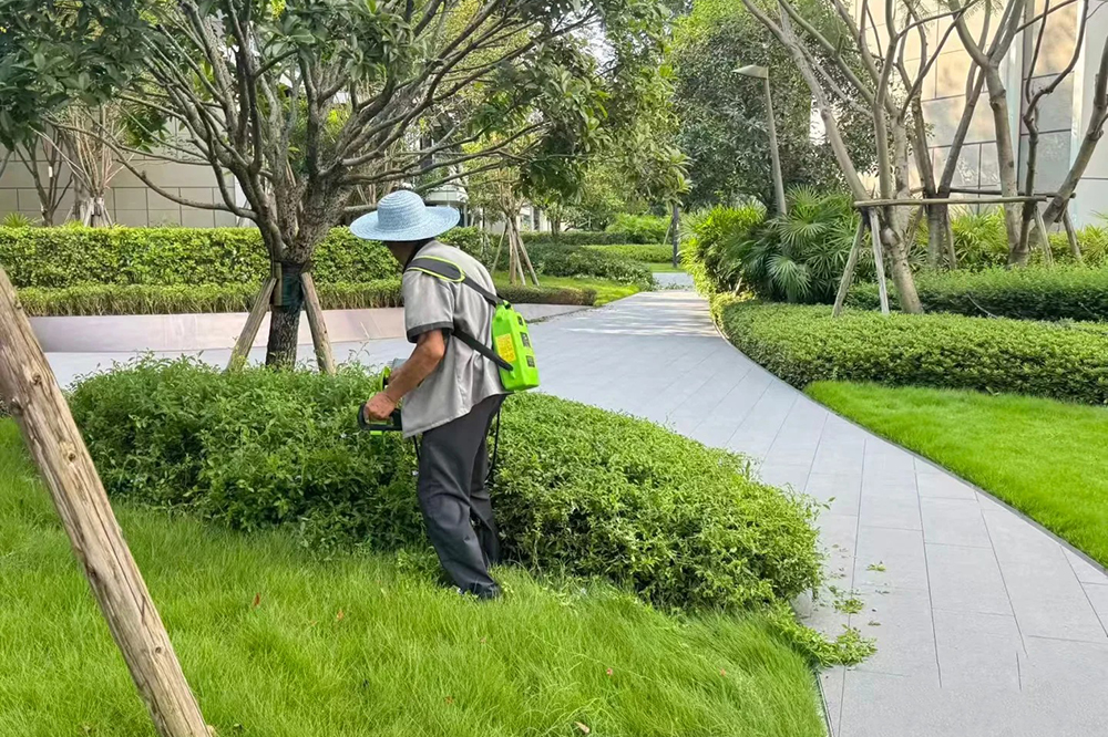 专业园艺修剪