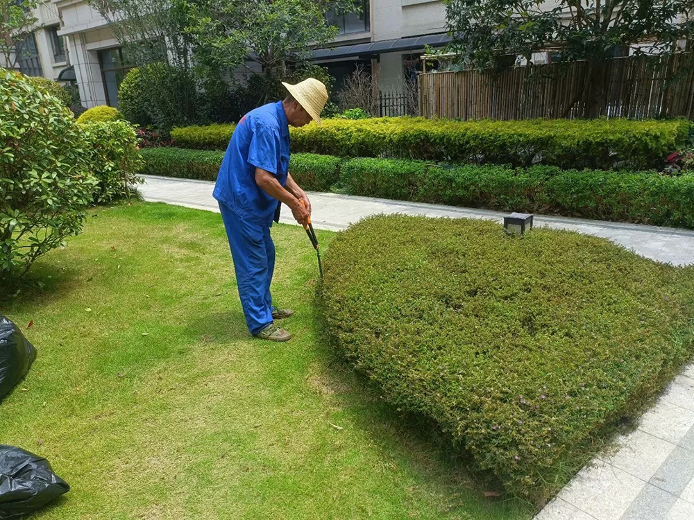 植物托管状态